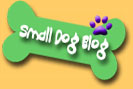 small dog blog